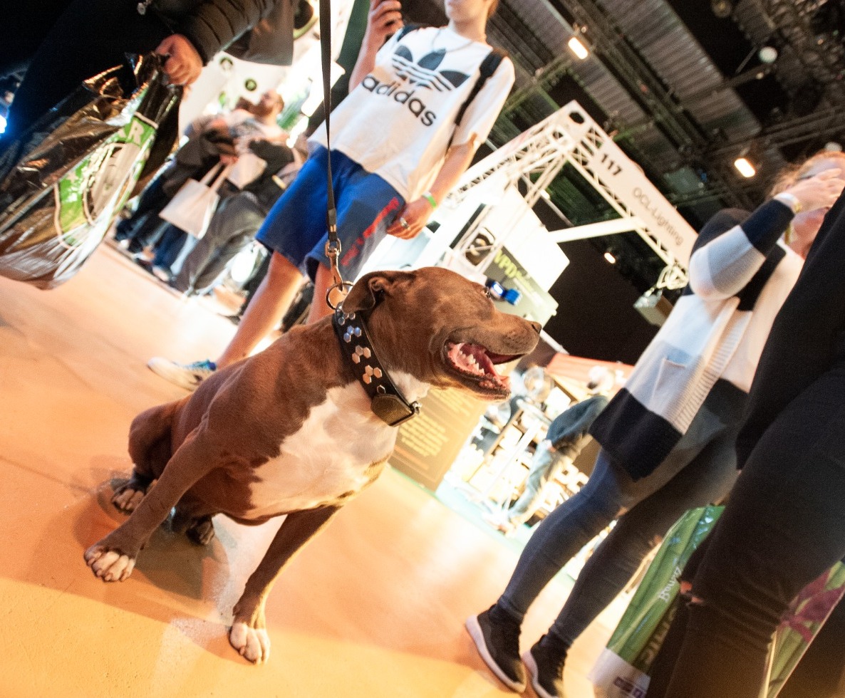 Pets are sadly not allowed at the CannaTrade 2022! 🐶   BUT, there are various products and booths especially for animals! Find something nice for your pet and enjoy an exciting weekend  at the CannaTrade 2022. We will be at the BERNEXPO in Bern from May 20 - 22.