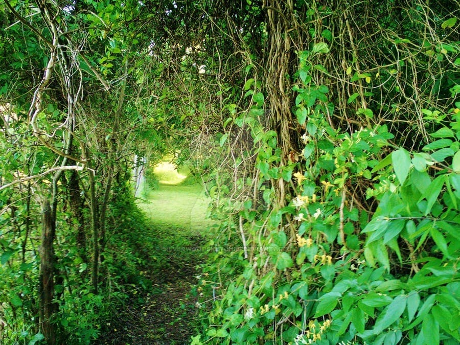 JennSilverwood's tweet image. I naturally found myself writing forest fairy stories. While I didn&apos;t always live in this forest, I had a #secretgarden on the land I grew up on, and something about the trees and creatures within felt magical, like there really were fairies in my garden #SatBookChat