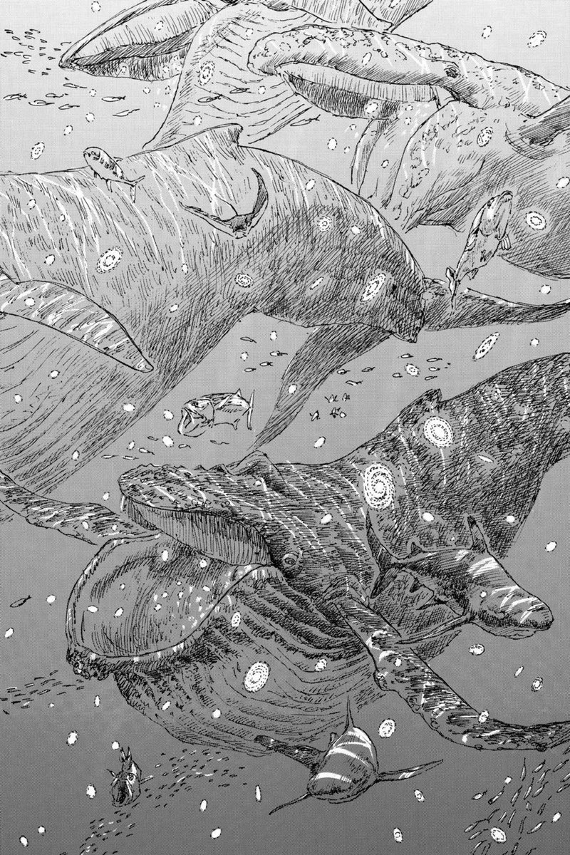 Manga Art / Panels tweet media