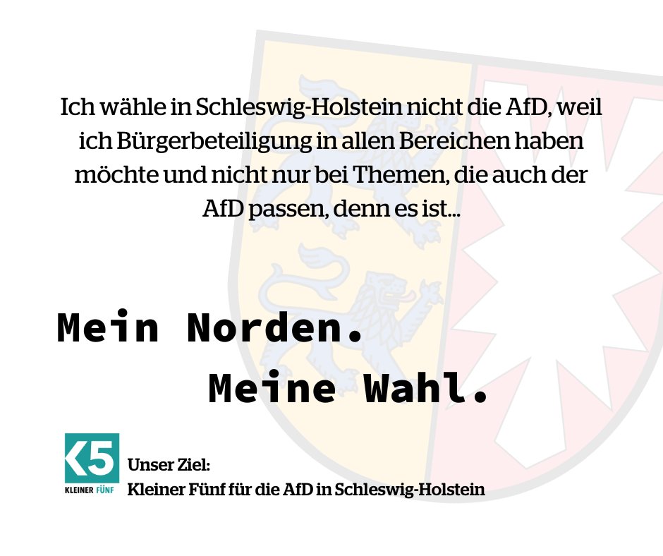 Morgen wählt Schleswig-Holstein! Wer noch nach Argumenten sucht, warum die #noafd keine gute Wahl ist: kleinerfuenf.de/de/blog/2022-0… #kleinerfuenf