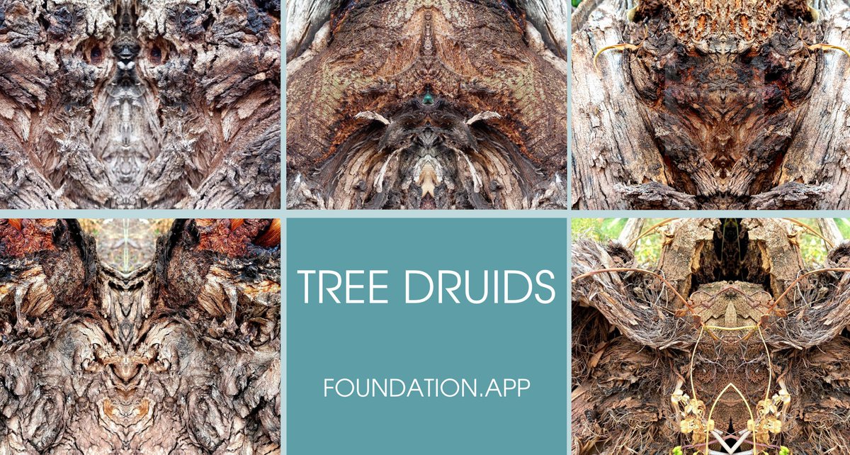 Well, the collection of wooden druids is ready: already at foundation.app/collection/tre…
 
All NFTs are unique and will not be used on other platforms.
The remaining 4 collections will be completed very soon.

#FoundationNFT 
#foundationapp 
<a href="/foundation/">Foundation 🌐</a>
