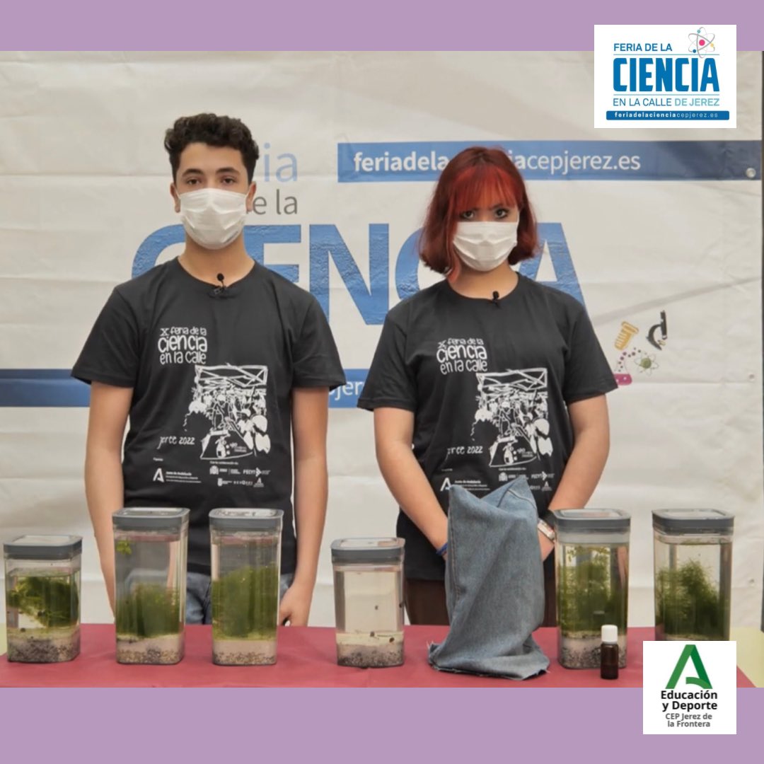 CEPdeJEREZ's tweet photo. Los “ecotarros” del CDP José Cabrera proyecto de secundaria #internivelar https://t.co/yoKNHt30hi #Xferiacienciacepjerez
@FECYT_Ciencia @ciudadjerez @FDescubre @CSIC @LafargeHolcimES @EducaAnd @formacprofand https://t.co/QzT2cF8lbD