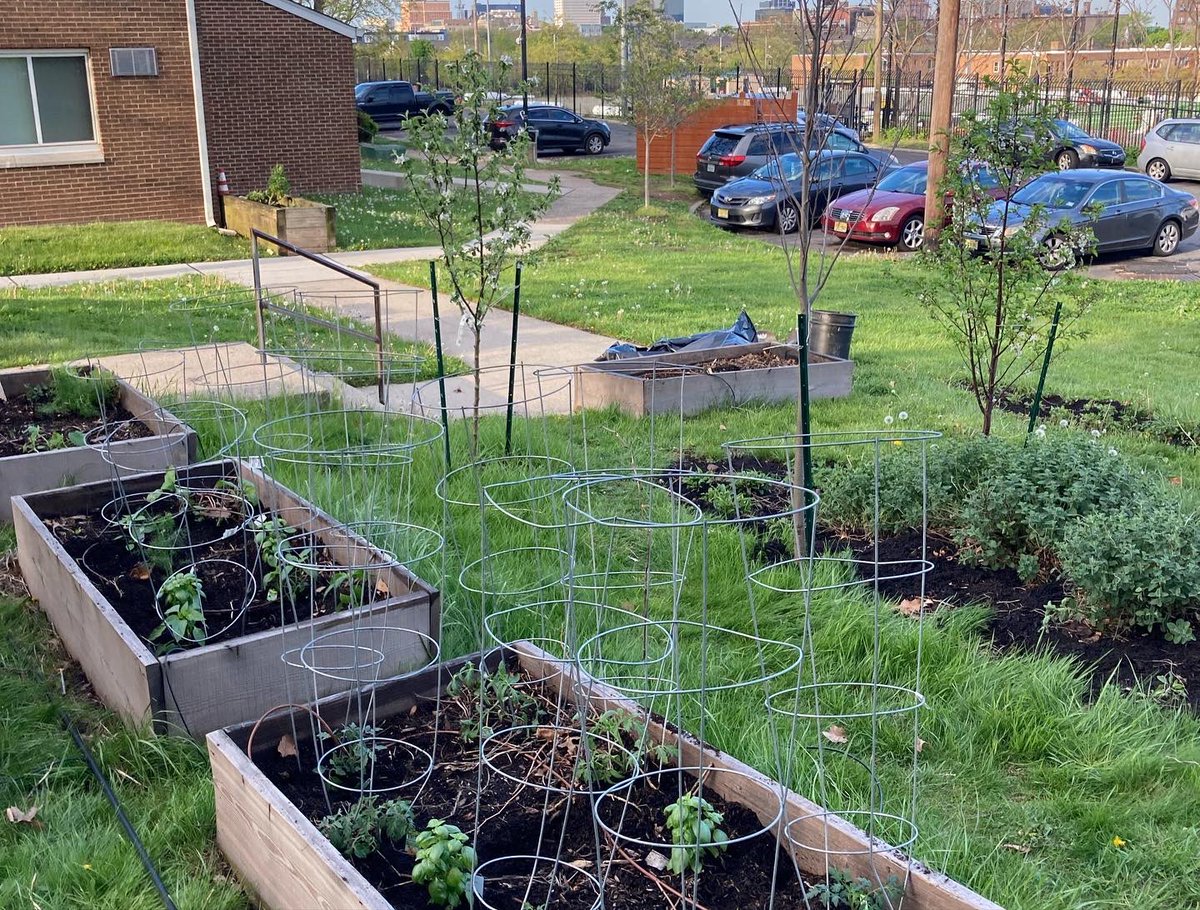 PLANT Group tweet media