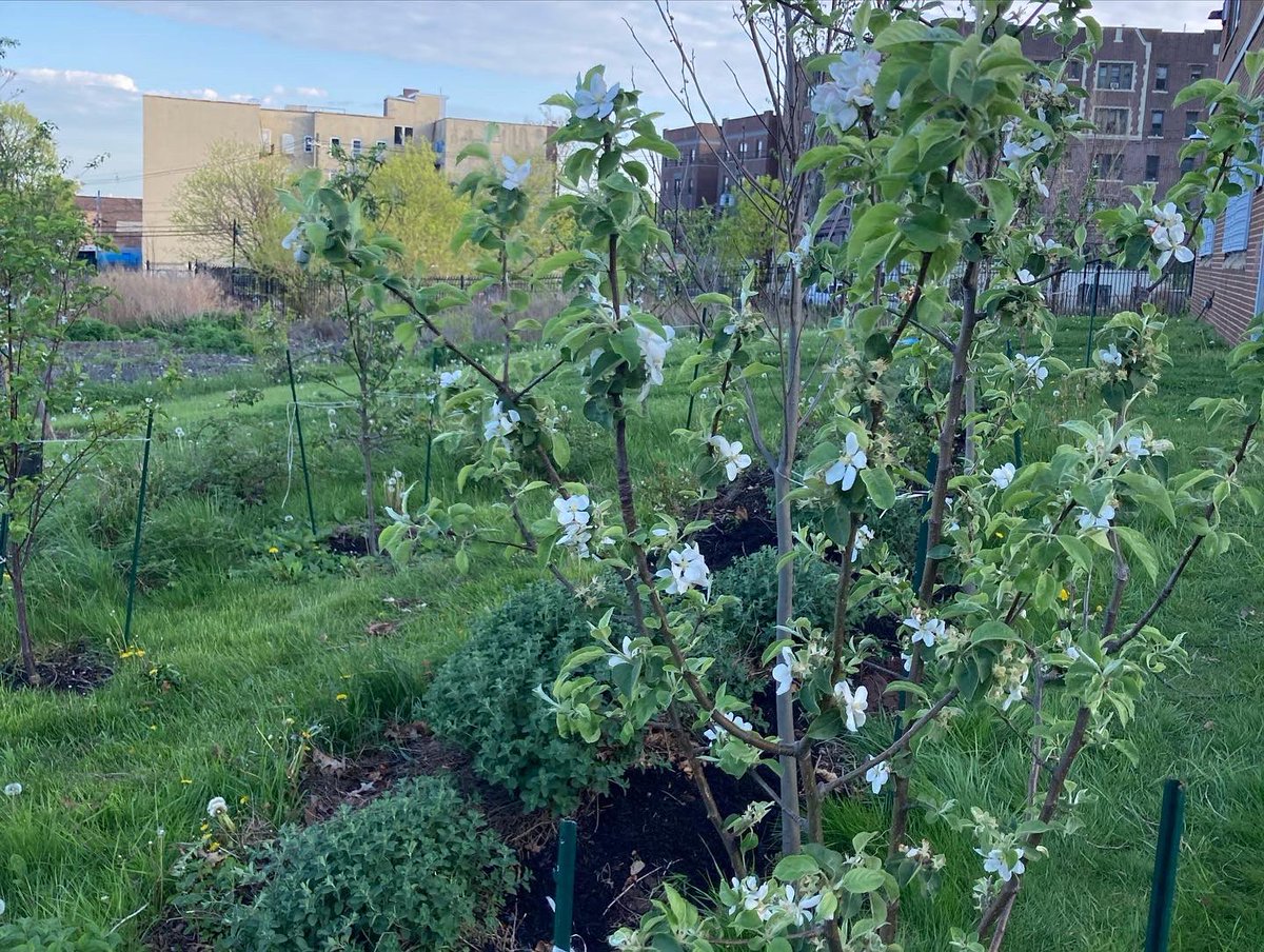 PLANT Group tweet media