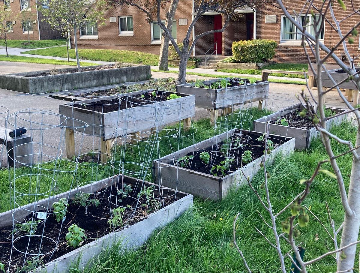 PLANT Group tweet media