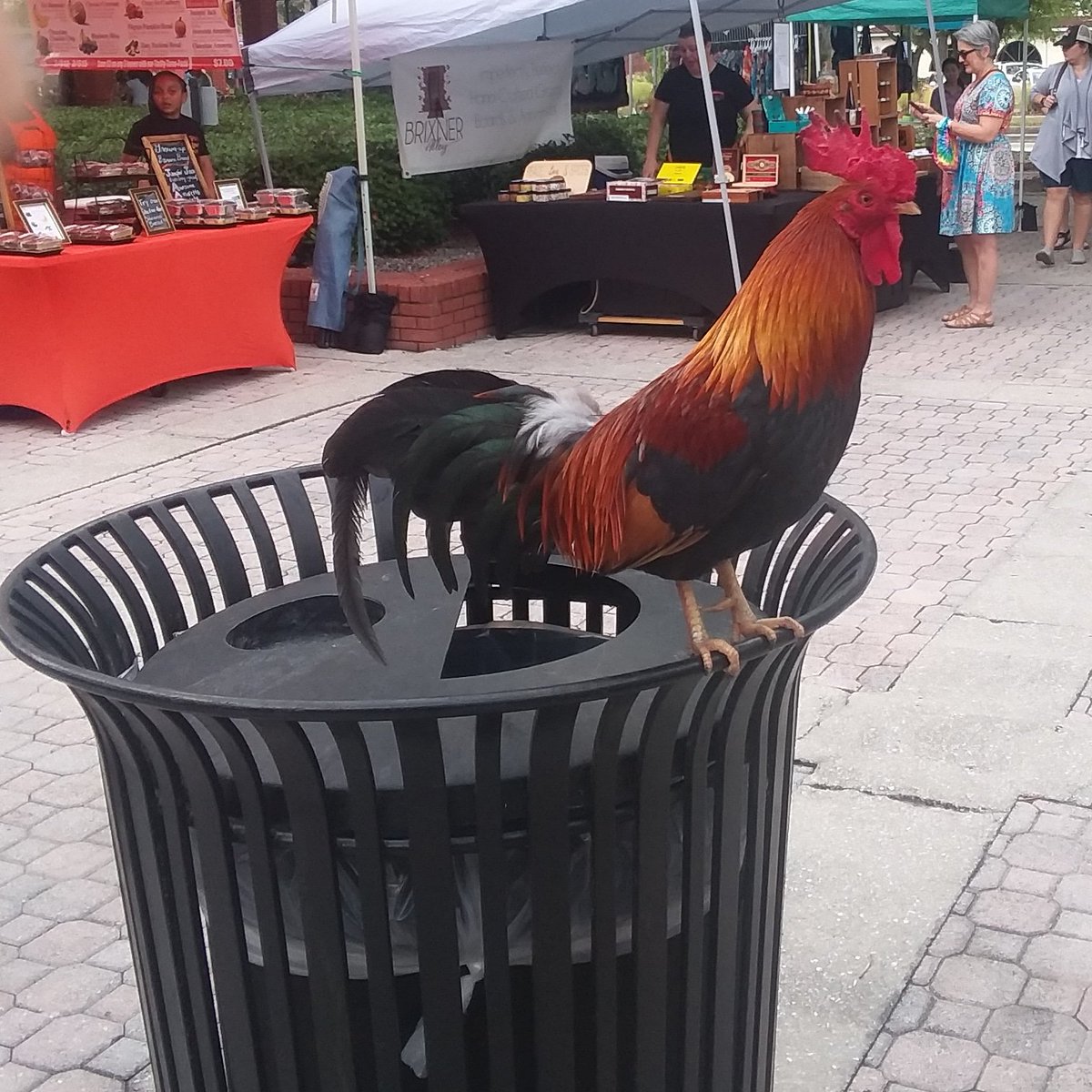 Bill Person tweet media