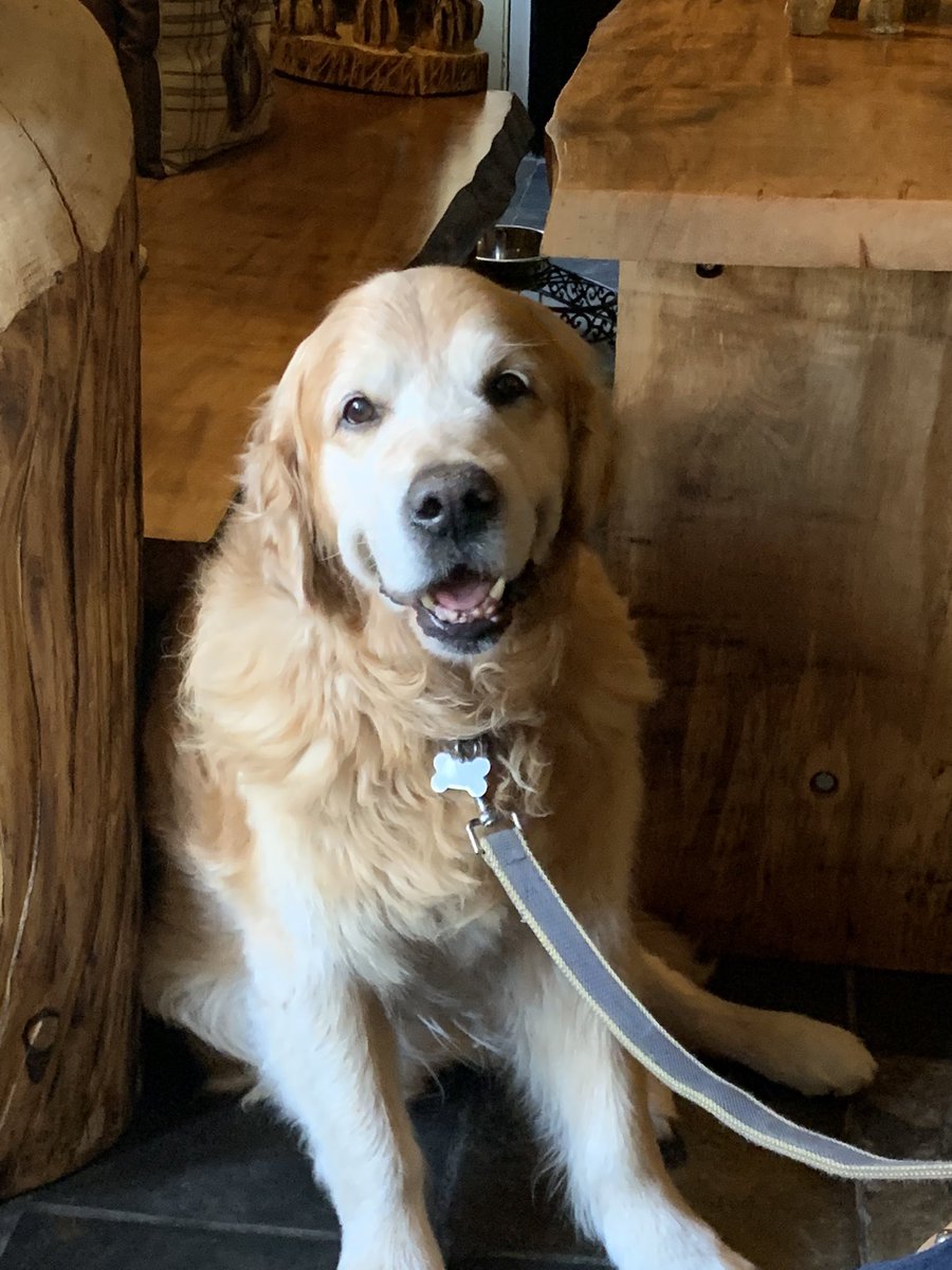 Paul Bush tweet media