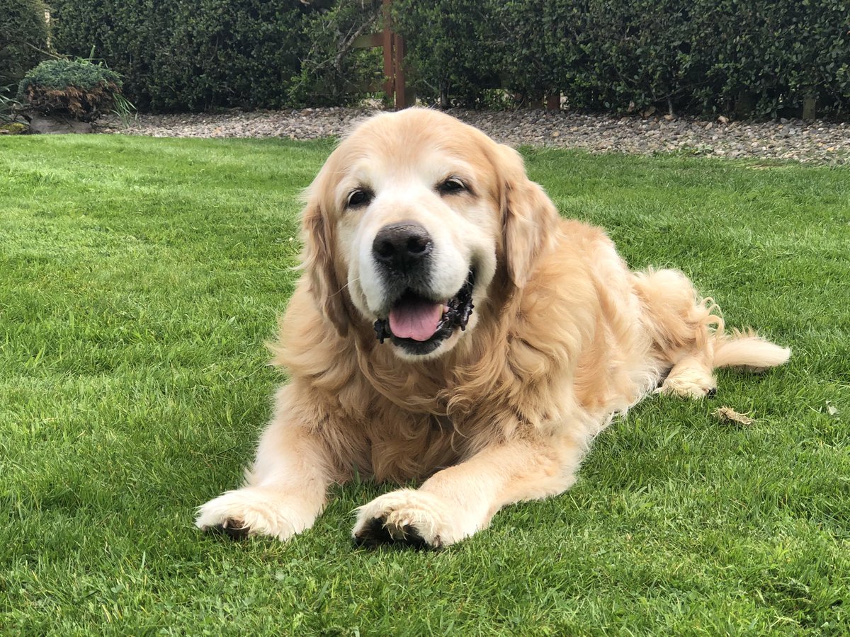 Paul Bush tweet media