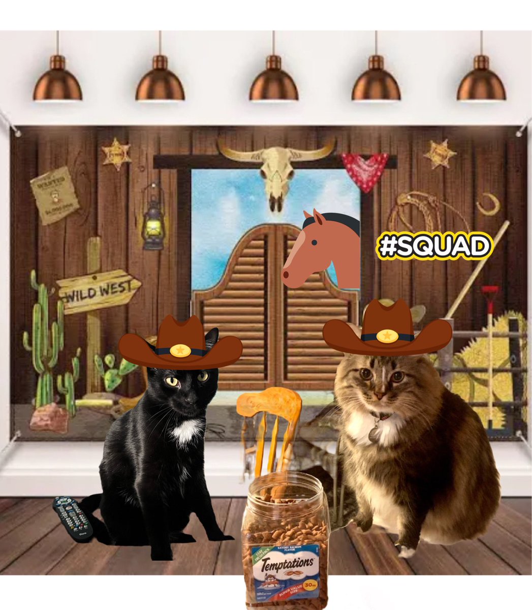 AmandaSmokeyIs1's tweet photo. We ready for Western Month. With the #ZSHQ #RaaAaAaa @TheCatMalice @BengalPandora @fluffybasil @RhondaHendee @MuddlesDog @WestieBiscuit @ThorSelfies @ZombieSquadHQ https://t.co/pNw6Cj9jvu