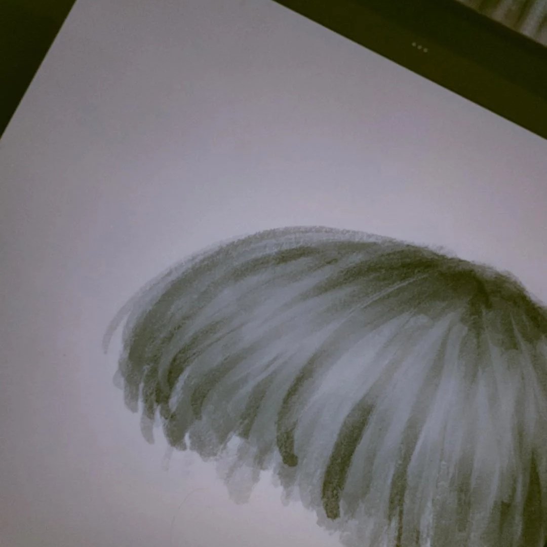 ทำไมวาดได้ทีละส่วน