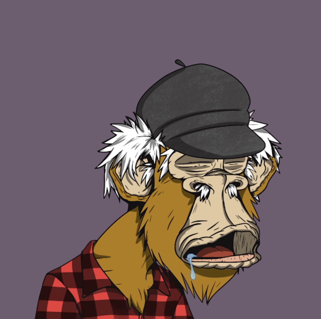 JMARCHESENYC's tweet photo. Y’all stay sleeping on @GrandpaApeCC  right now. Floor is super undervalued with the release of MACC coming within the next few weeks. Project is giving their holders kittens as well. Scoop one up on the low and be happy in a couple weeks 🚀🚀🚀 https://t.co/SuKhmhG2se