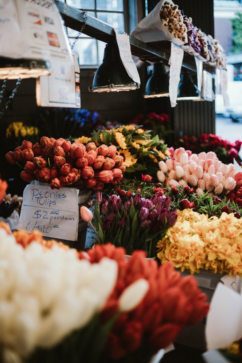 Thompson Seattle tweet media