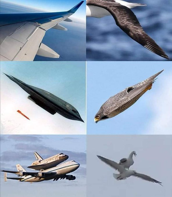 #nature  vs #technology  ⚙ 
What You say about it? what's your thought?
you can mention here