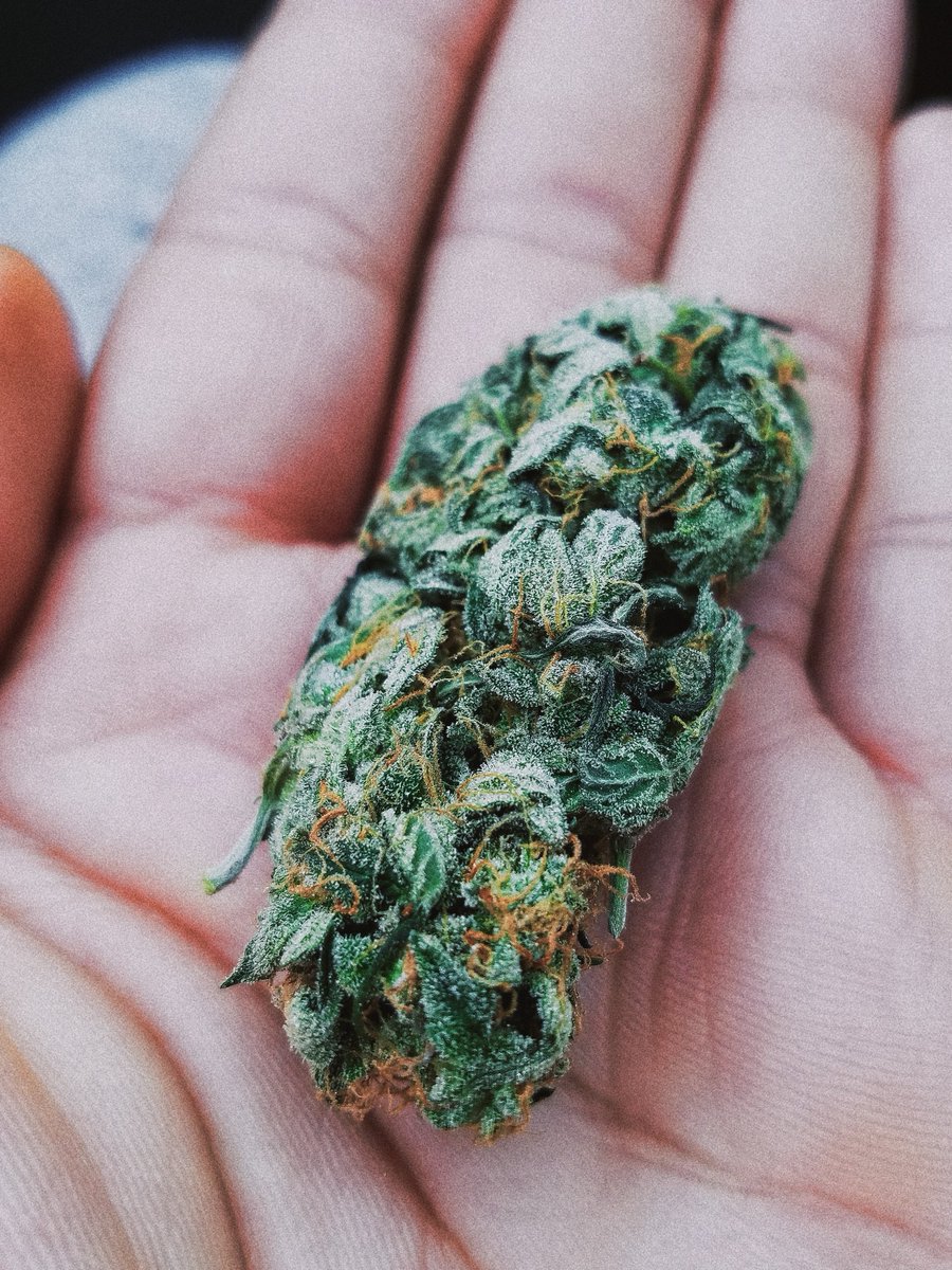CBDWorld5's tweet photo. #CBD is not a trend, It's a solution.
.
.
.
#CBD #cbdoil #fullspectrumbd #edibles #cbdgummies #google #lisa #cbdvape #CBDbenefits #cannabis #yrkkh #hemp #cbdlife #neuro_protection #usa #weedsmokers #prerolls https://t.co/agk5q4G8fc