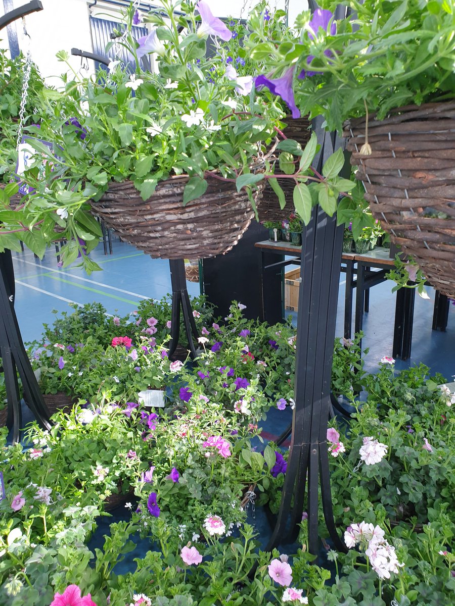 CCC Plant Sale tweet media