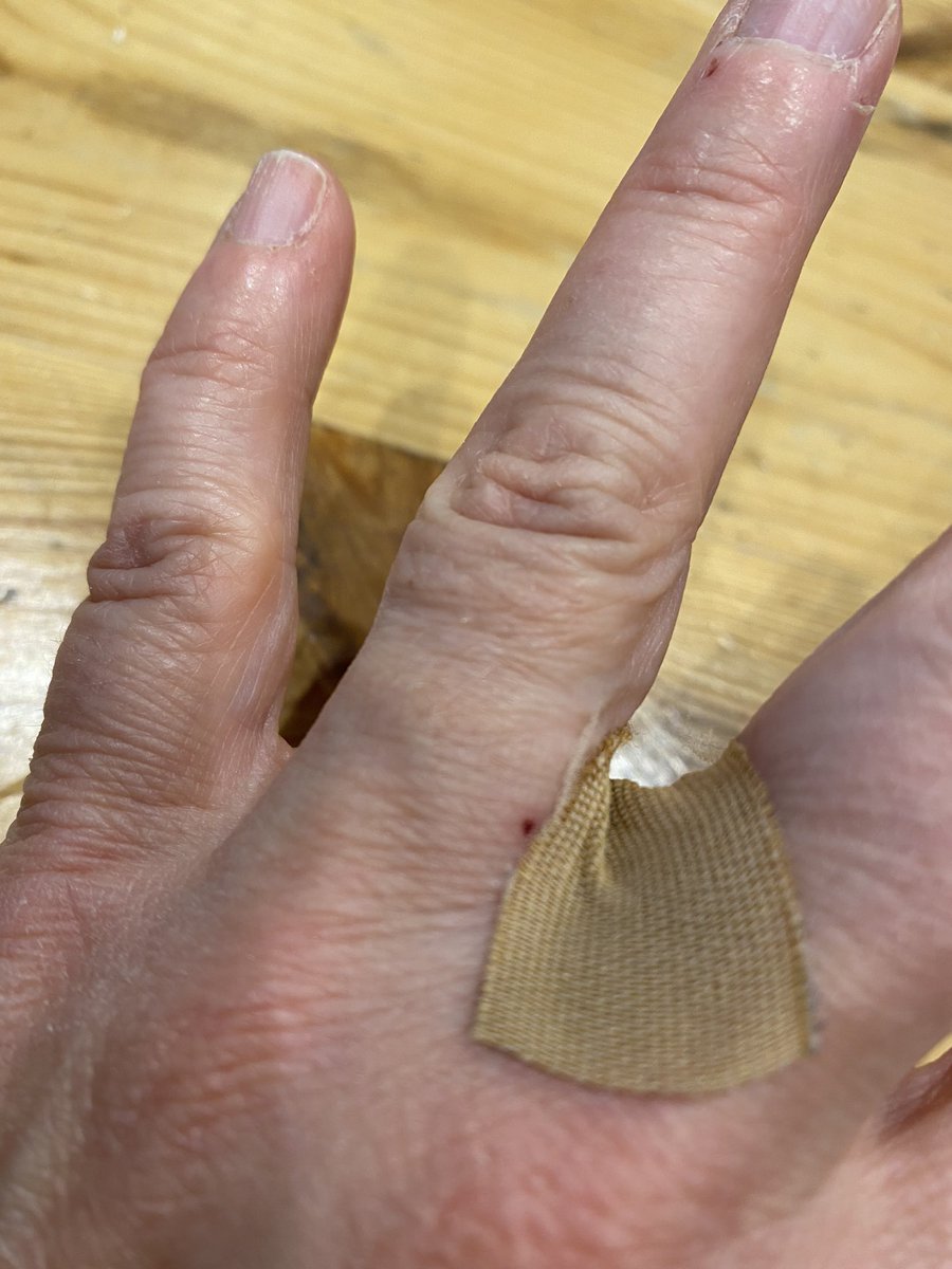 Dr Lucy Pocock (follow me on Blue Sky) tweet media