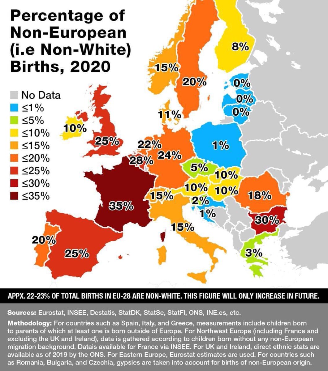 JoguetPatrice's tweet photo. La France championne d'Europe du #GrandRemplacement : Déjà en 2020, 35% des naissances étaient d'origine extra-européenne... https://t.co/tpXDV0FAWD