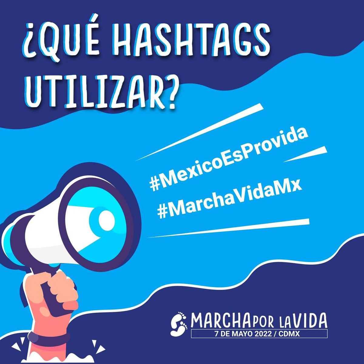 #MexicoEsProvida
#MarchaVidaMx