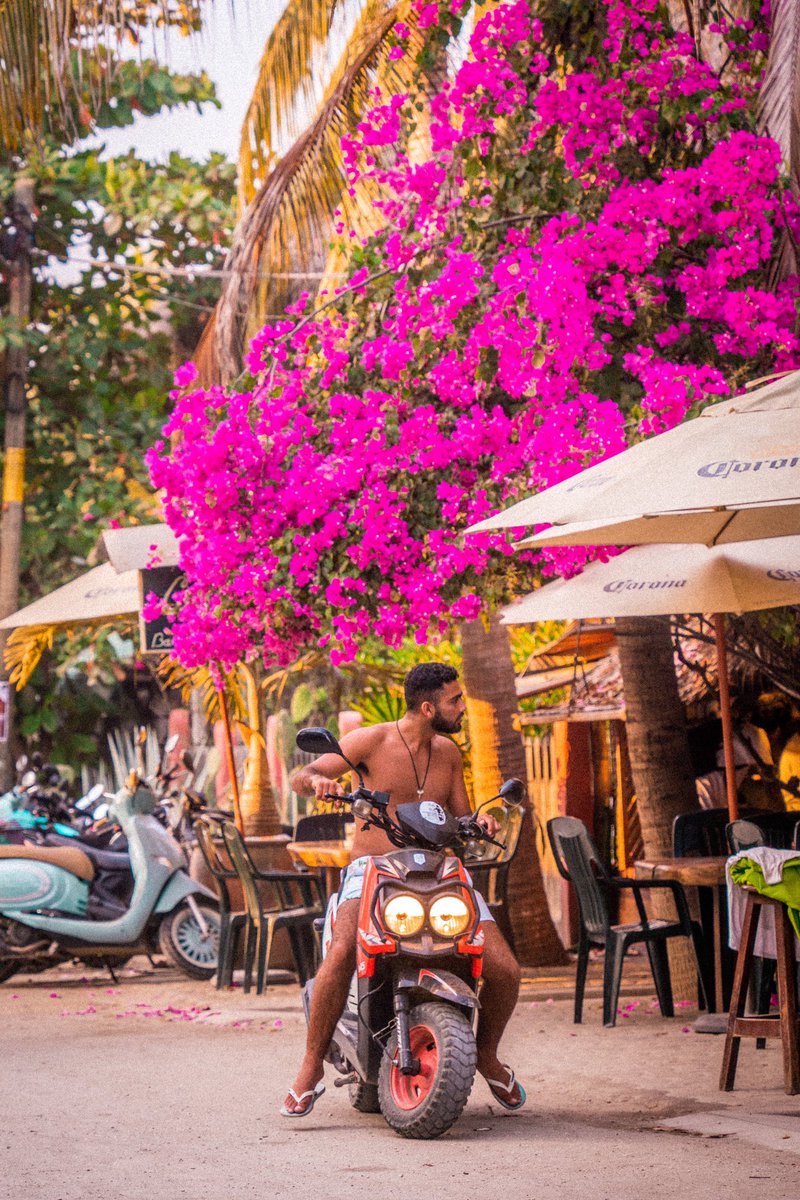 michaelwingsit's tweet photo. Let’s ride 🛵🌺

📍Puerto Escondido, Oaxaca https://t.co/T99ZIYUhPH