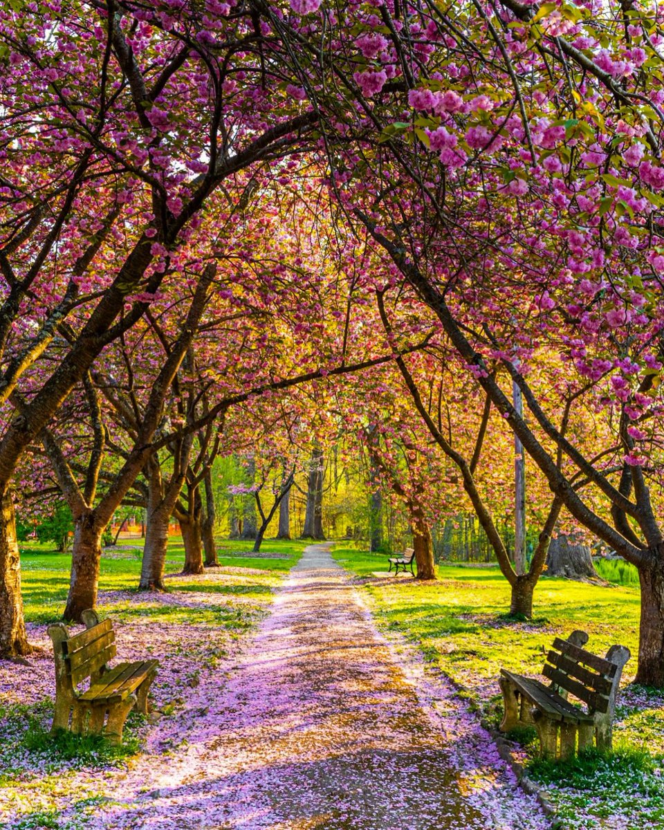 Spring at Everhart Park