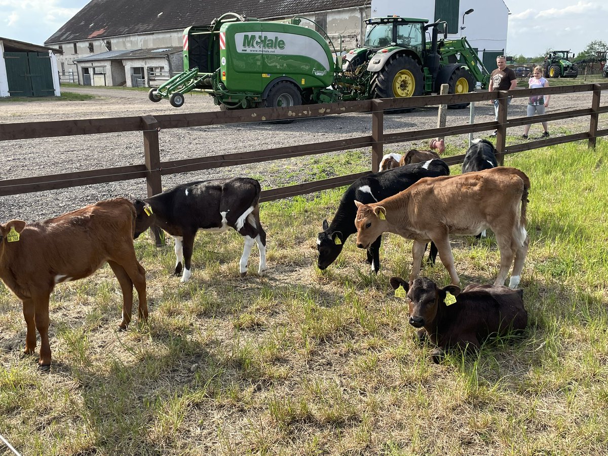 Delighted to visit the Costello farm <a href="/pcosfarmer/">Paul Costello</a> in Brandenburg again and meet with Billy Costello who set up the farm in 1991. Today his sons, Paul &amp; Stephen run the farm with over 1,000 cows employing Irish agricultural practice. A lovely open-day for the local community