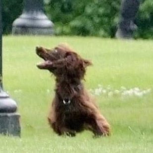 bobbyhiddles's tweet image. 