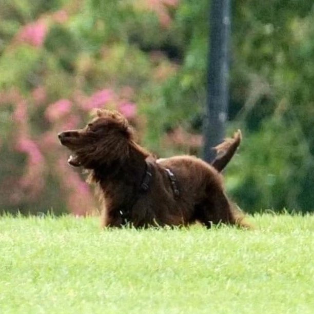 bobbyhiddles's tweet image. 