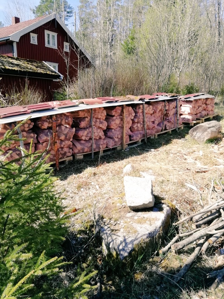 74 sekker. Tror det er nok nå. Det skal jo inn i vedskjulet også. Her på landet må man passe på å tørke på riktig måte. Ellers får man høre det.