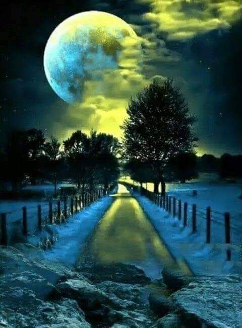 Sari_Friends1's tweet photo. 🔵 GOOD NIGHT 🔵⚪🔵
#naturelovers #nature #NatureBeauty https://t.co/yENuvqBAEV