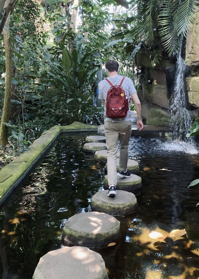 Colin Tonge tweet media