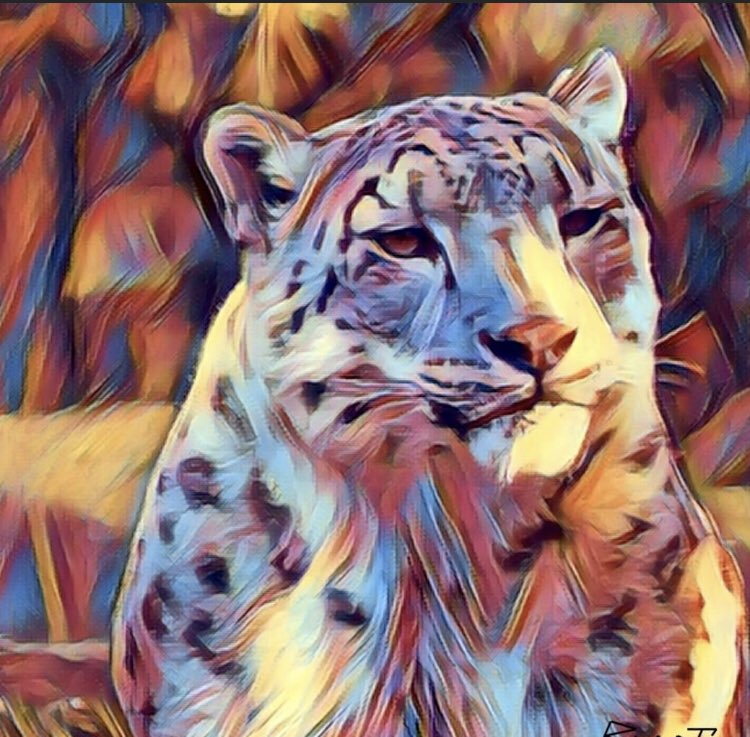 WroldCryptoNFT's tweet photo. BABYGOLU 🥇NFT https://t.co/fGe2nxv9it