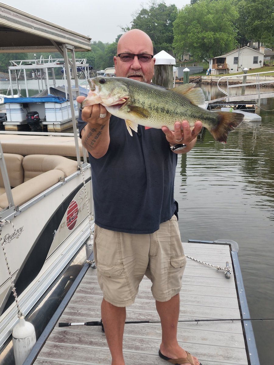 Timhstafford's tweet photo. #beddingbass #bassfishing #lakehickory #lhscuba https://t.co/YhOE0ELLBH
