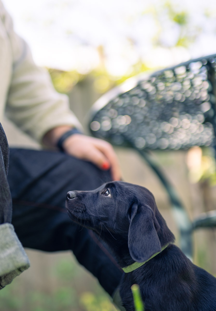 Charlie Budd tweet media