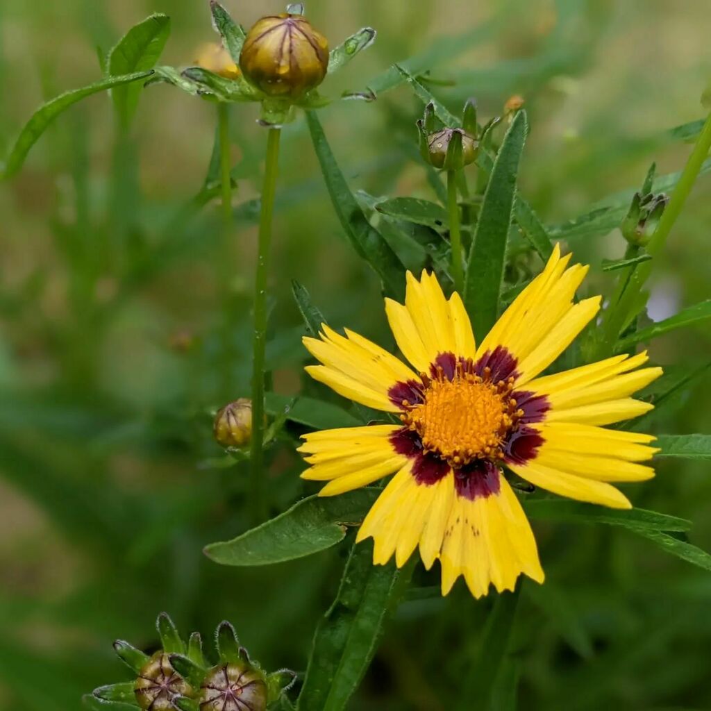 instagr.am/p/CdRW3eeuVo4/