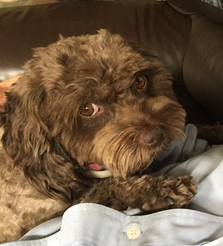 Elinor Perry tweet media