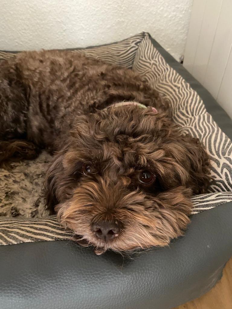 Elinor Perry tweet media