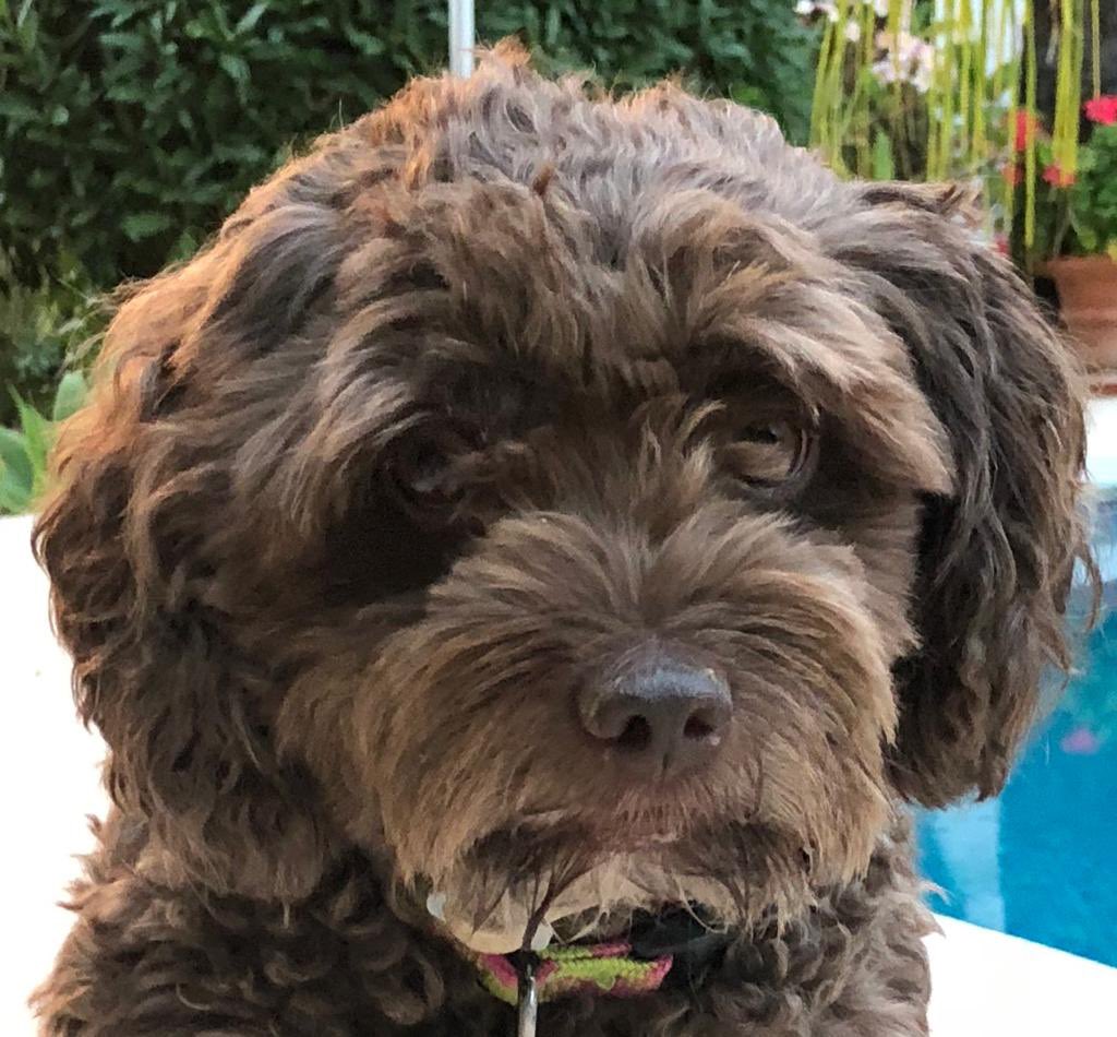 Elinor Perry tweet media