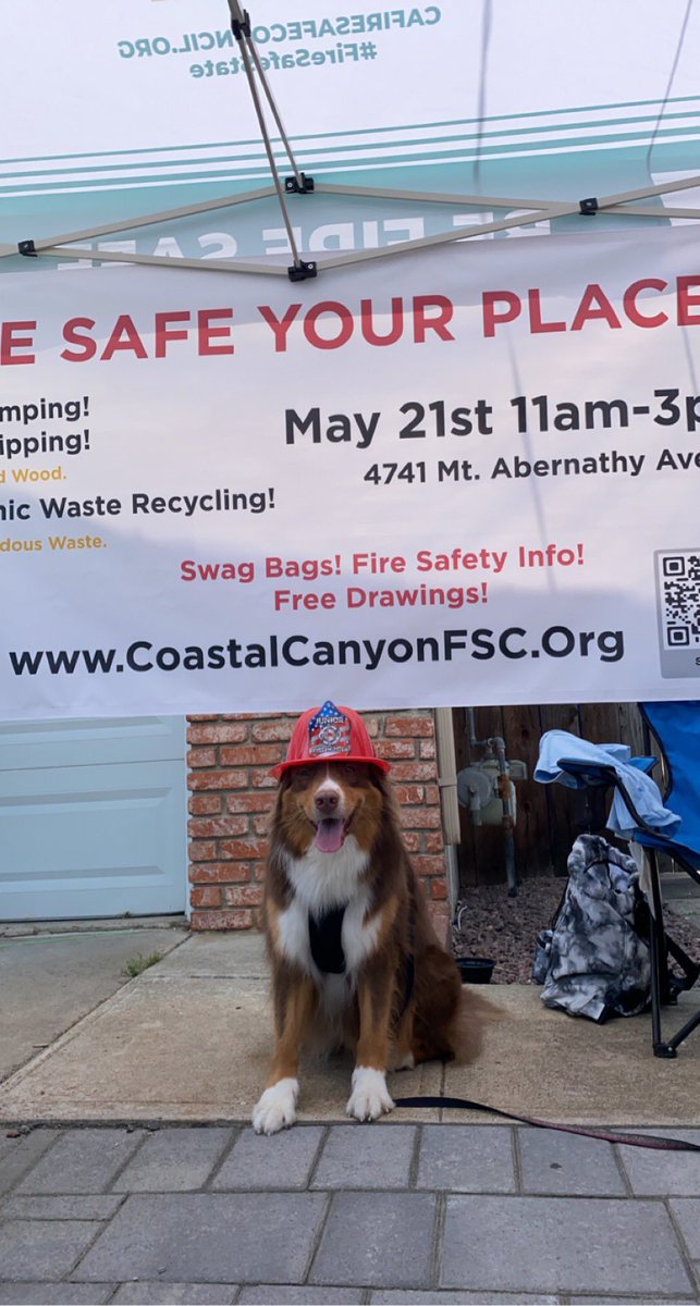 CCFireSafe's tweet photo. Having a great time at the @ClairemontTC Garden Tour! There’s still time to stop by, check us out and get information on how to be fire safe, fire resistant plants and to learn about our next Fire Safe Your Place event on May 21st!🔥🌵 #FSYP #CCFSC #FireSafety https://t.co/KbUaByYyfX