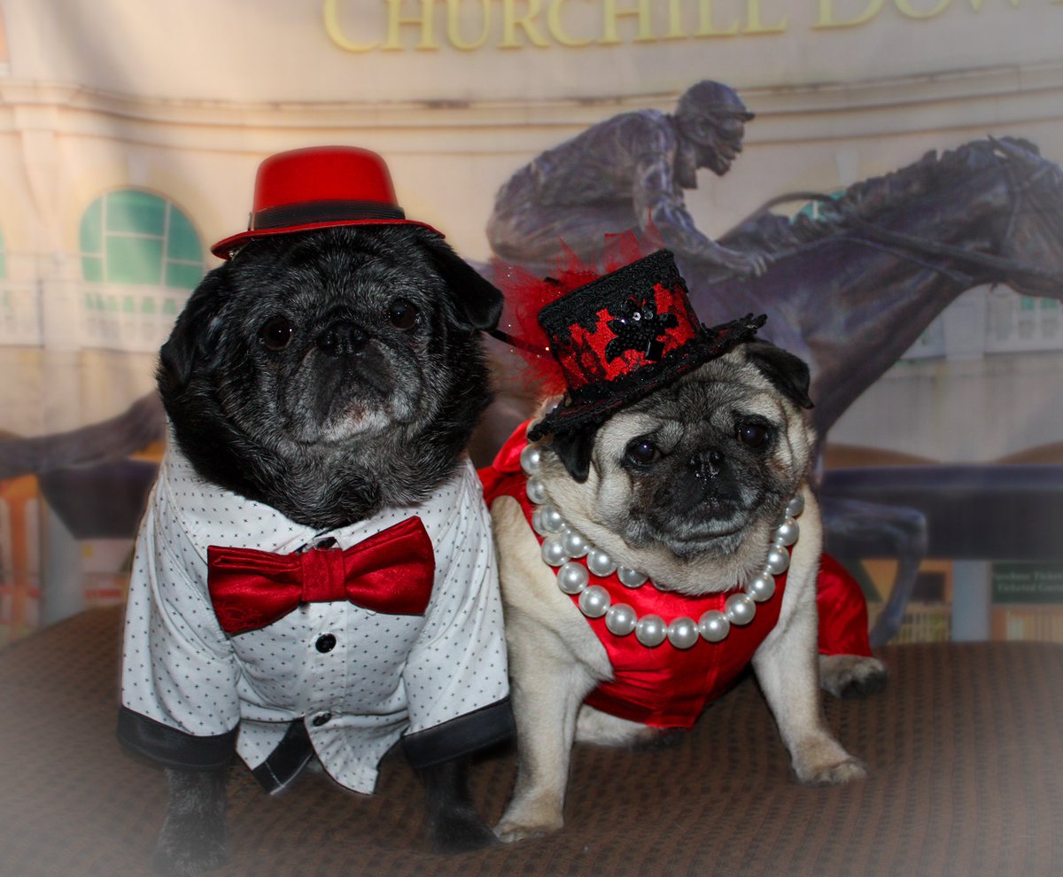 Kami Cyr tweet media