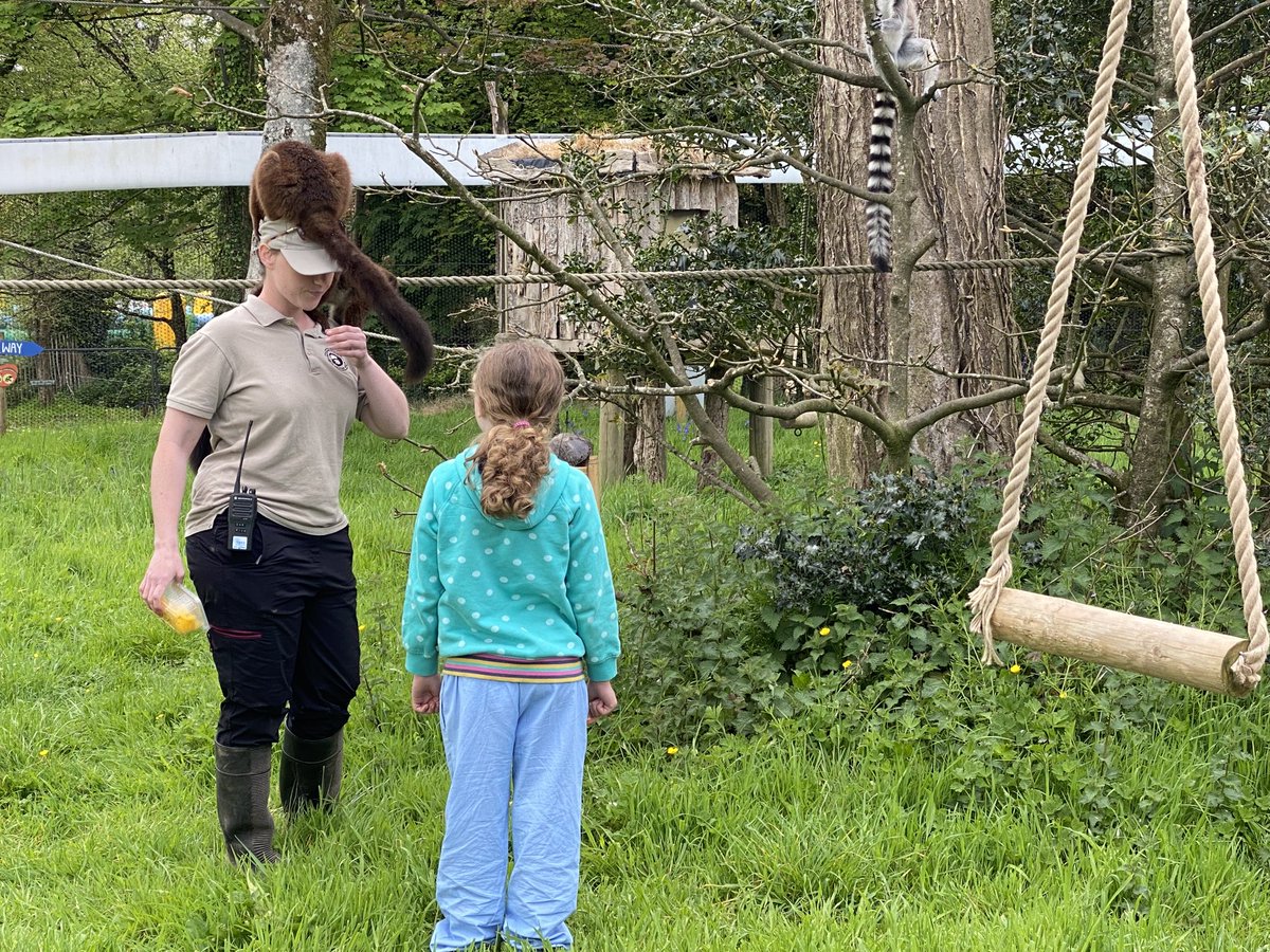 Mark Thomas tweet media