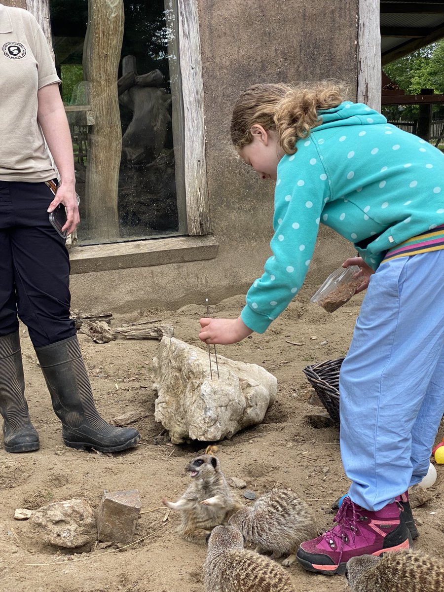 Mark Thomas tweet media