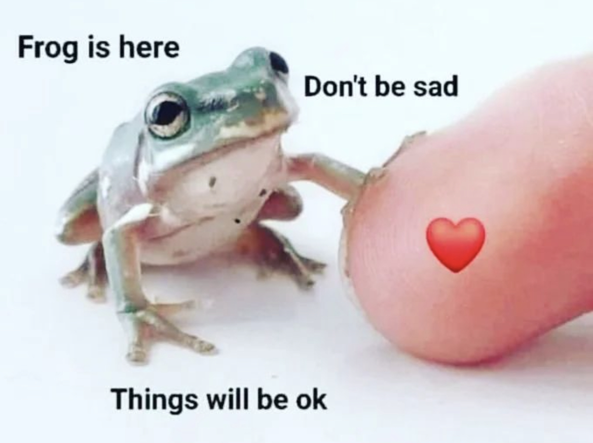 RespectfulMemes's tweet photo. https://t.co/GvG4noAJI5