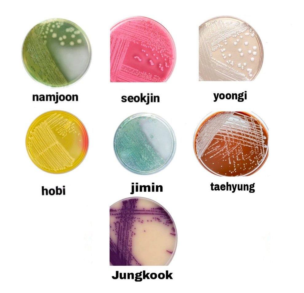 brdsa4's tweet photo. bts but everyone is an agar https://t.co/1SbegyZTHG