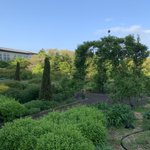 ツイートに含まれる画像