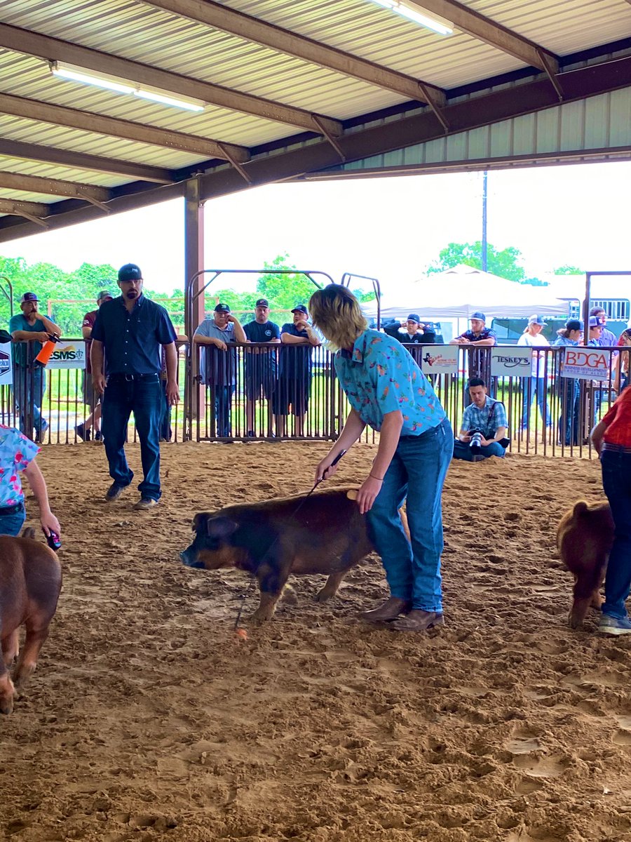 Brody9Baker's tweet photo. Had a fun time at @BrockFFA livestock show. Got to show my livestock and ag mechanic projects. Brought home some ribbons including first place for my bench. https://t.co/ig5vi77jE3