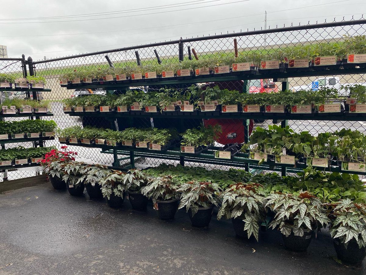 Hackmann Lumber tweet media