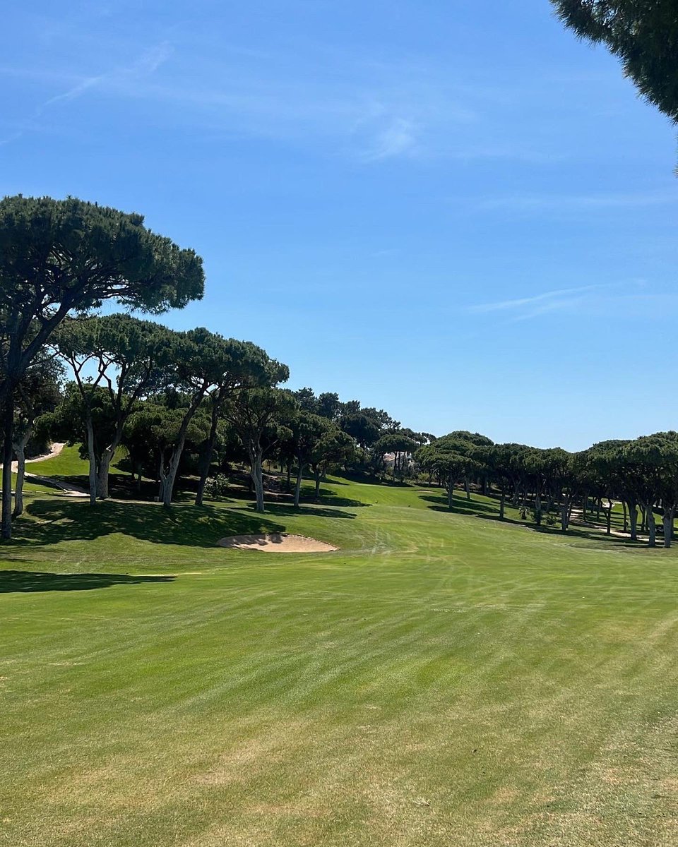 NickLofty's tweet photo. Really enjoyable afternoon @Dompedrogolf Old Course today! The game is getting close, but too many mistakes on the greens ended in -1! 2 eagles was nice!! Massive thanks to @griff169 for your help today #Progression #Appreciation #SMARTPractice #Reflection @Karl_Morris 👍🏻👊🏻🏌️♀️⛳️🇵🇹 https://t.co/1HHvZfUZIB