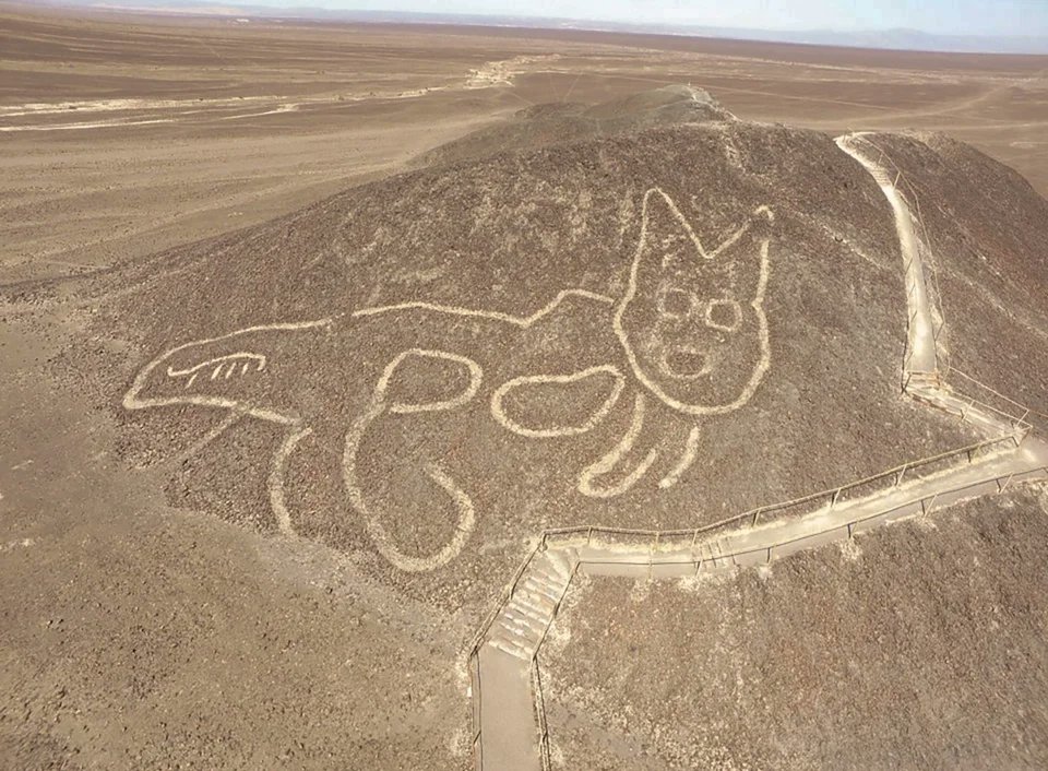 RT @historydefined: A 2000-year-old giant cat geoglyph found amid Peru's famous Nazca Lines. https://t.co/kdhfoq7kfq