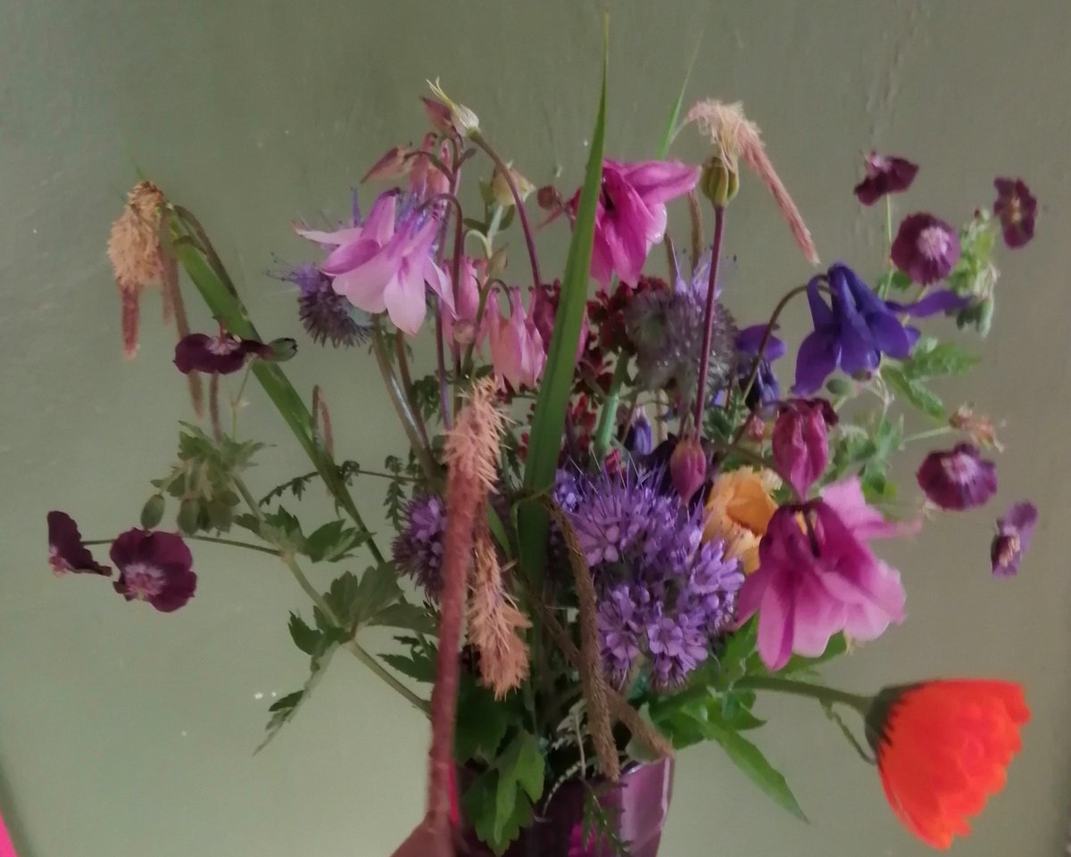 Todays garden flowers #gardenflowers #homegrownflowers #gardening