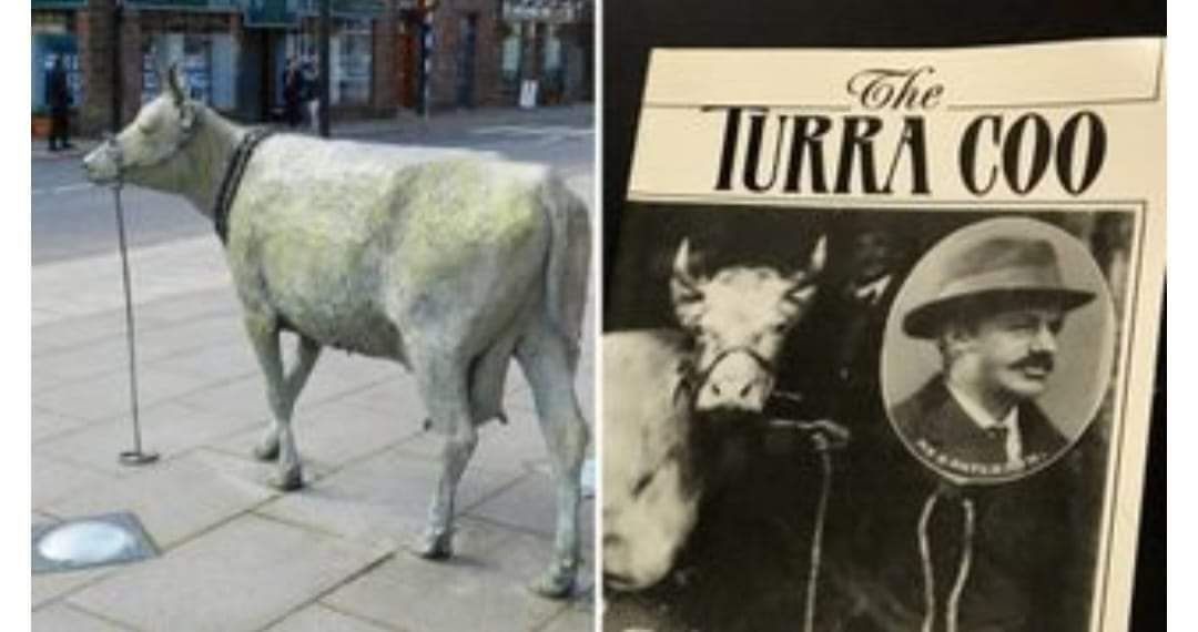 🔴 بقرة توريف

1️⃣ تحولت مدينة ريفية صغيرة في (أبردينشاير) بإسكتلندا تدعى (توريف) إلى دوامة كبيرة من...